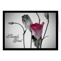 Elegant Pink Rose Card