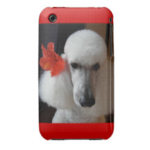 Elegant Poodle iPhone Case iPhone 3 Case