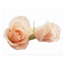 elegant postcards