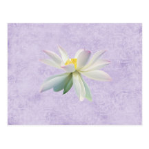 elegant postcards