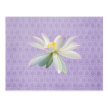 elegant postcards