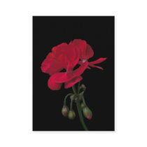 Elegant Red Floral Business Card