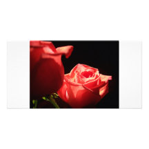 Elegant Rose Picture Card
