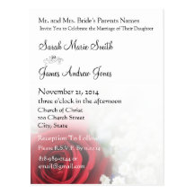 Elegant Roses and Baby's Breath Wedding Invitation Postcard
