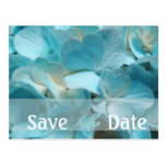 Elegant save the date Blue Hydrangea Postcard