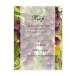 Elegant Vineyard Purple/Green Grapes Wedding RSVP Post Card