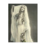 Elegant Vintage Bridal Photography Gifts Post Card