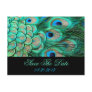 Elegant Vintage Peacock Invitation for Wedding Post Card