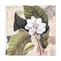 Elegant Vintage Southern White Magnolia