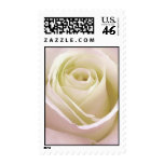 Elegant white bridal rose postage stamp