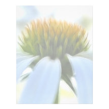Elegant White Coneflower Letterhead