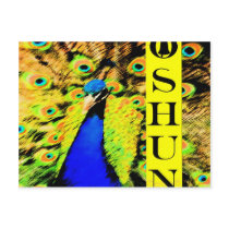 Eleggua  and Oshun Art TiKo Art Print Merchandise Post Cards