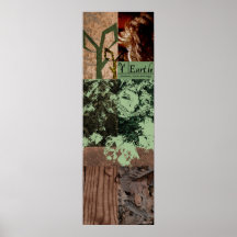 Élément : La terre Poster