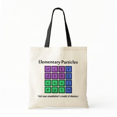Elementary Particle Physics Bag by quantumquirks