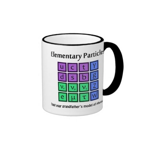Elementary Particle Physics Mug