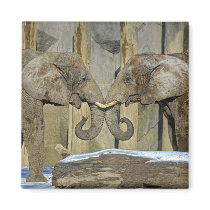 Elepants Best Friends Magnet