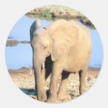 Elephant Africa Stickers