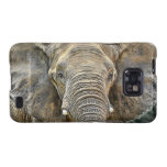 Elephant African All Ears Samsung Galaxy Covers