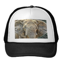Elephant African Ball Cap Hats