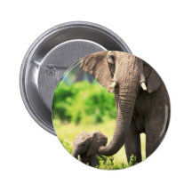 Elephant and Baby Pinback Buttons