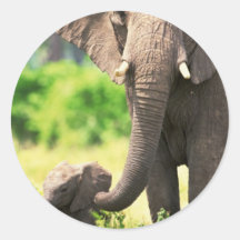 Elephant and Baby Sticker