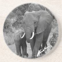 Elephant and Calf Coaster