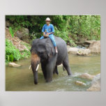 Elephant and Mahout-Chiang Mai, Thailand Print