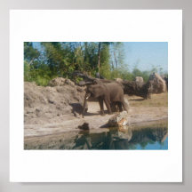 Elephant at Watering Hole Poster