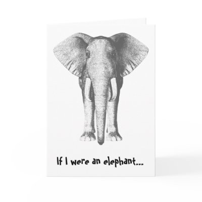 Elephant Belated Birthday Greeting Cards by willowdewisp