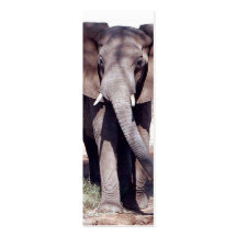 Elephant Bookmark Business Card Template