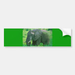 Elephant Bumper Sticker