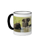 Elephant calendars coffee mugs & cups