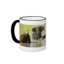 Elephant calendars coffee mugs & cups