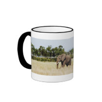 Elephant calendars coffee mugs & cups