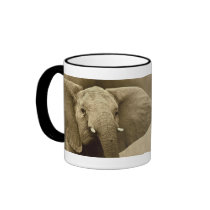 Elephant calendars coffee mugs & cups