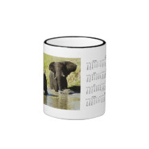 Elephant calendars coffee mugs & cups