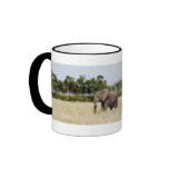 Elephant calendars coffee mug