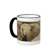 Elephant calendars mugs