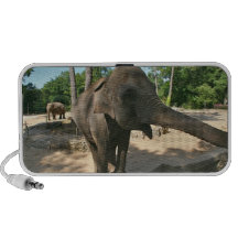Elephant Doodle Speaker