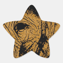 Elephant Eye Star Stickers