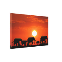Elephant family