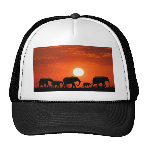 Elephant family mesh hats