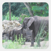 Elephant Family  Stickers