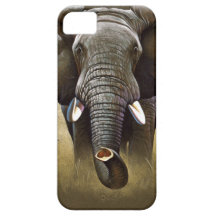 Elephant Herd Charging iPhone 5 Cases