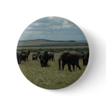 Elephant herd Maasai Mara, Kenya Pin