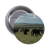 Elephant herd Maasai Mara, Kenya Pin
