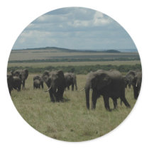 Elephant herd Maasai Mara, Kenya Round Sticker