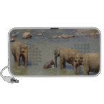 Elephant Herd  Portable Speakers