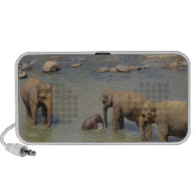 Elephant Herd  Portable Speakers