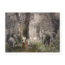 Elephant hunt in the region of Logalla, from 'Trav posters